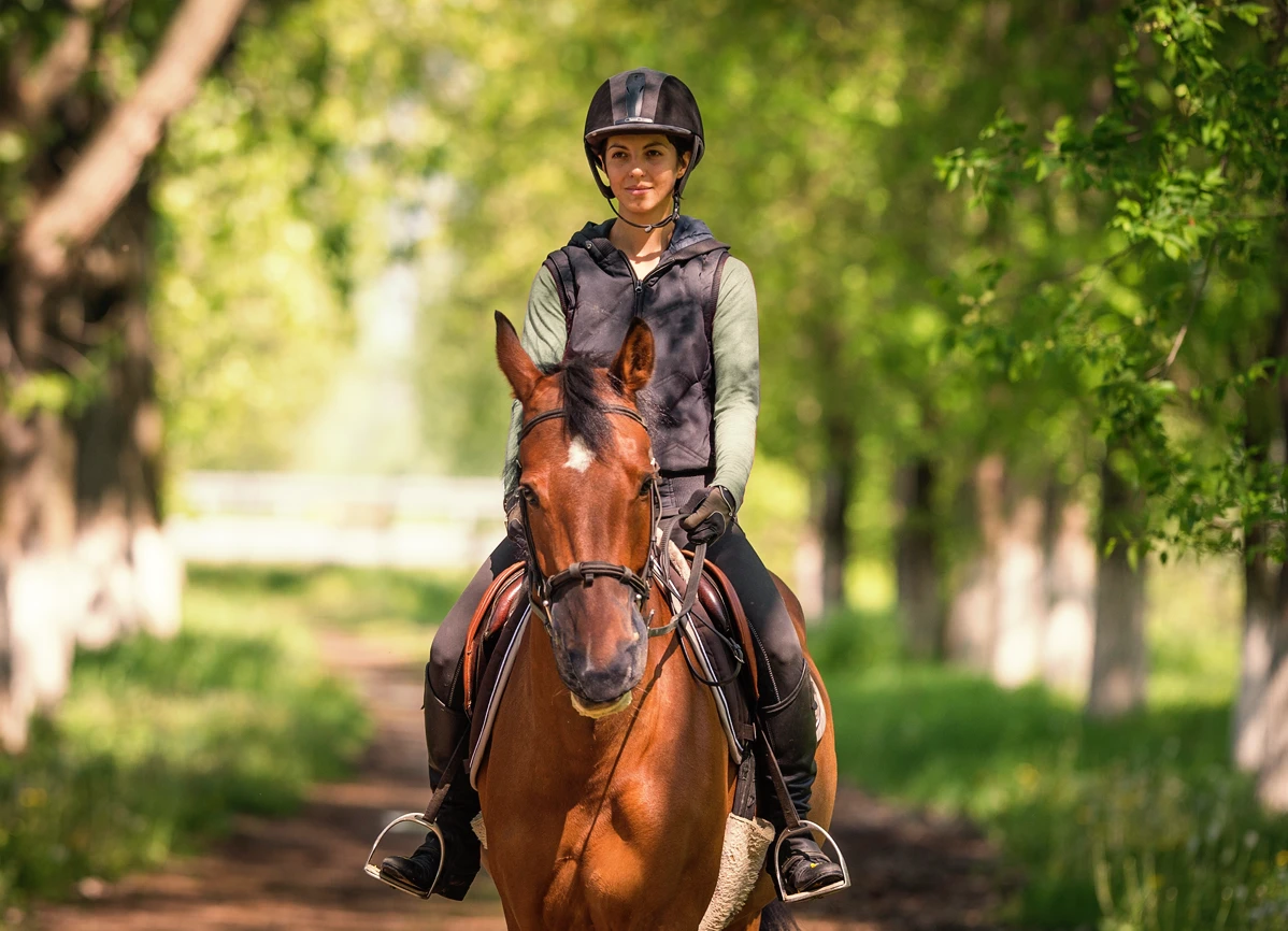 CONSTANTIA-Horse-riding