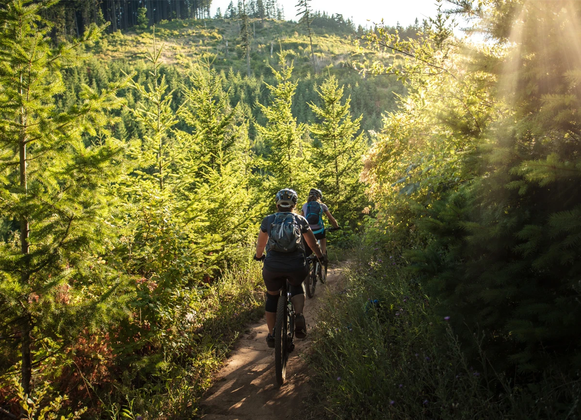 CONSTANTIA-Mountain-Biking