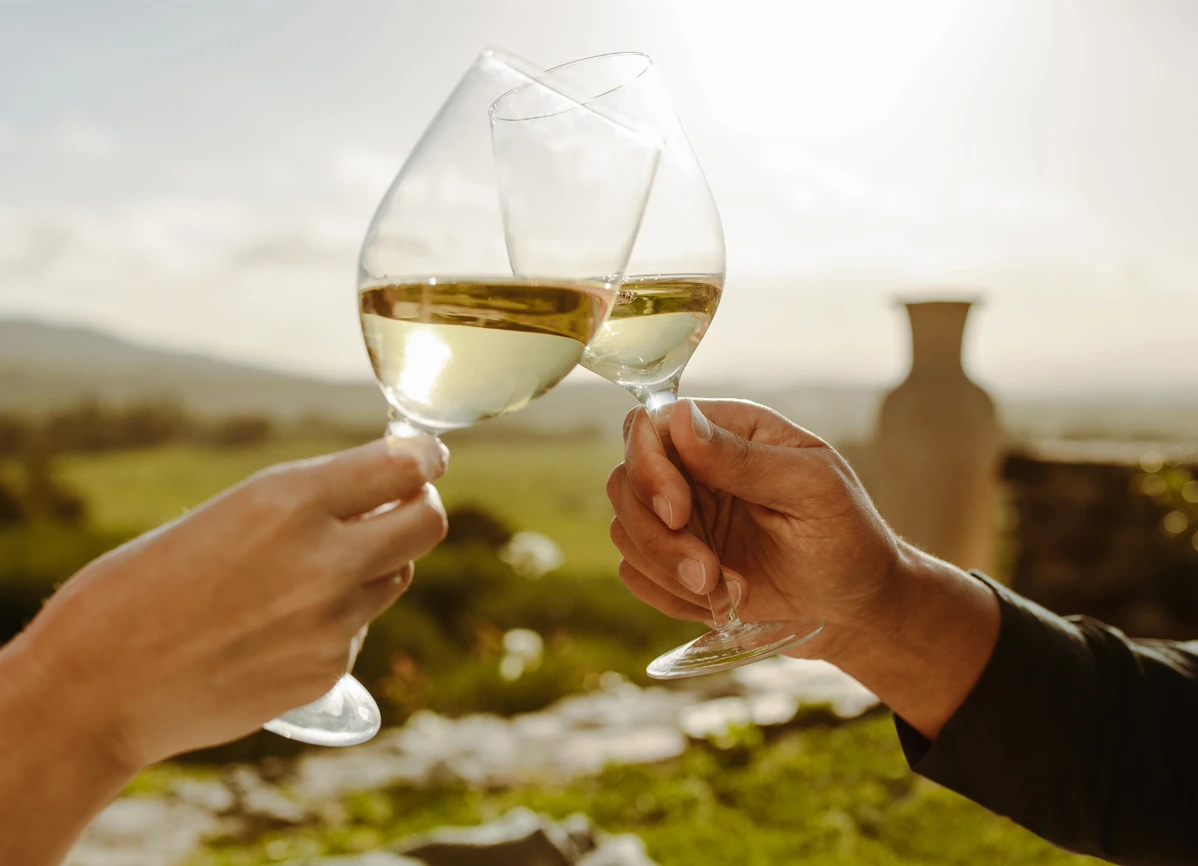 CONSTANTIA-Wine-Tasting