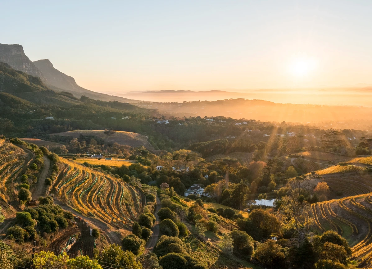 CONSTANTIA-view